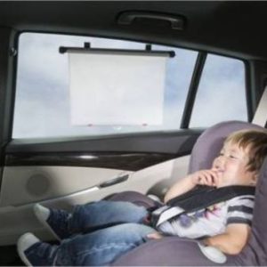 ISI Mini Auto Zonnescherm Met Temperatuurwaarschuwing (2 St)